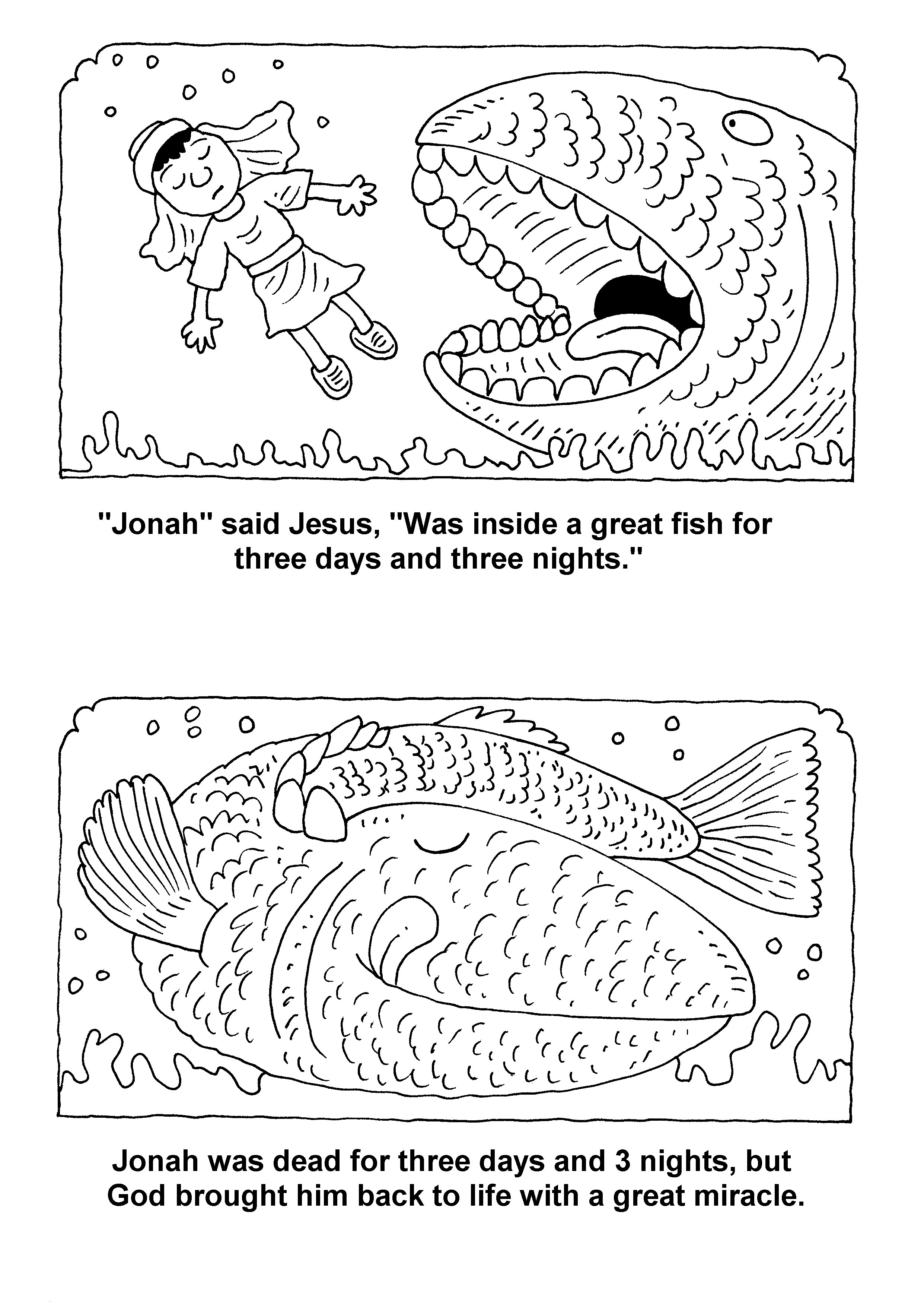 Bible/Bible story booklets/Jonah: Richard Gunther – free Christian ...